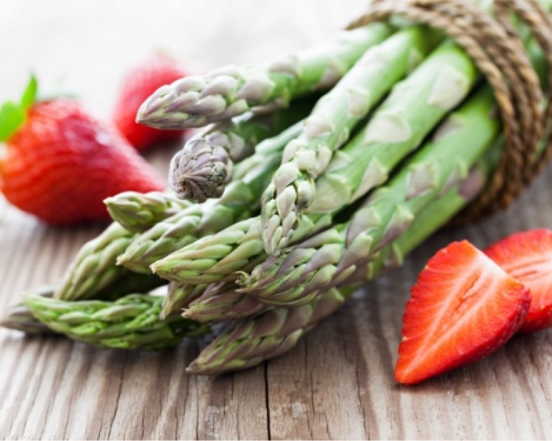 Vallon Sainte Marthe